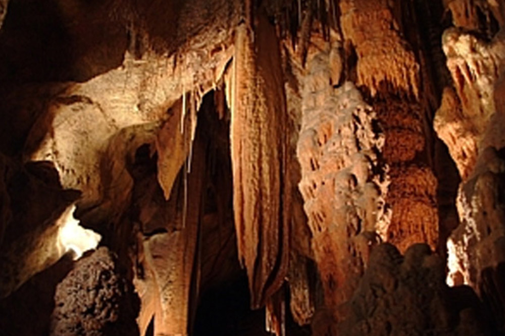 Mole Creek Caves Accommodation Tasmani