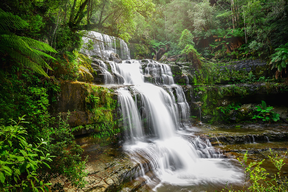 Tasmania Travel Itinerary - Liffey Falls Accommodation